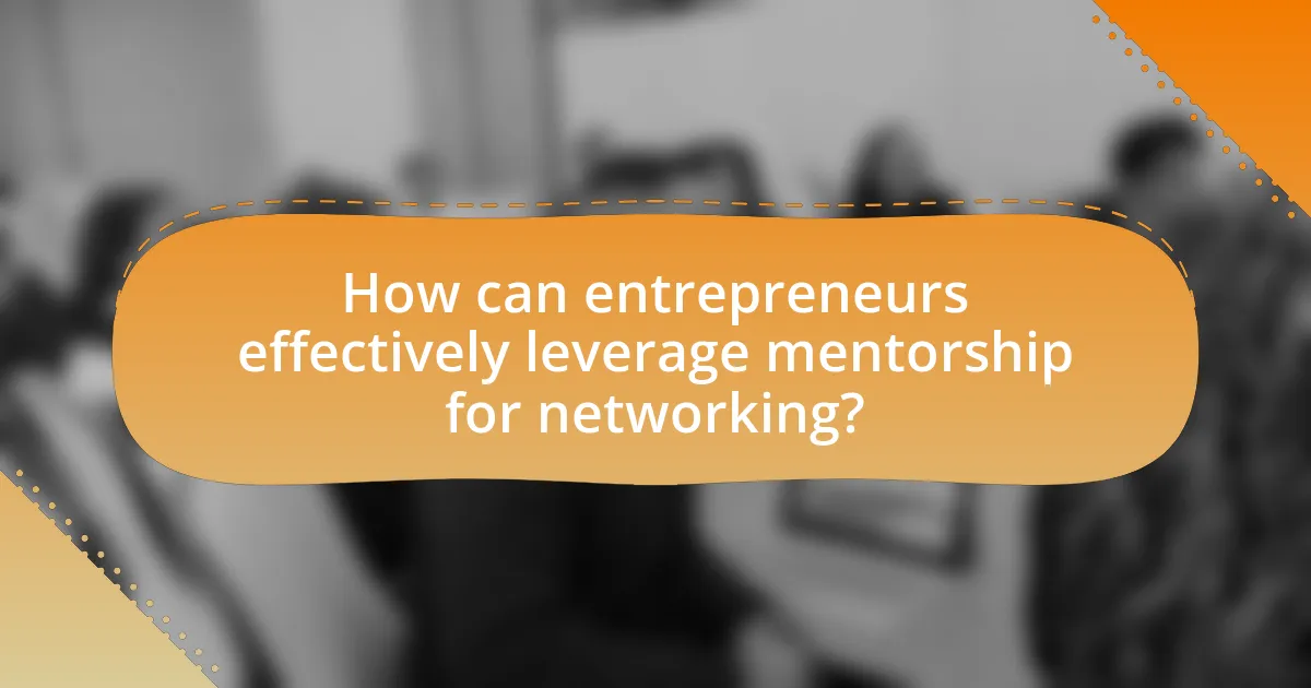 How can entrepreneurs effectively leverage mentorship for networking?