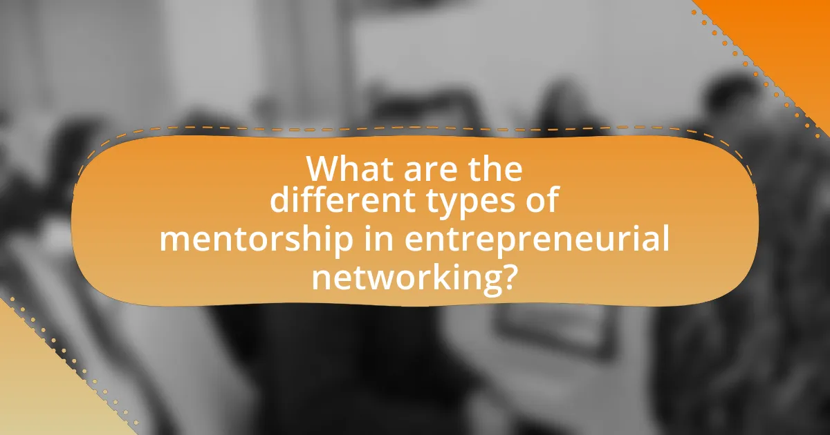 What are the different types of mentorship in entrepreneurial networking?