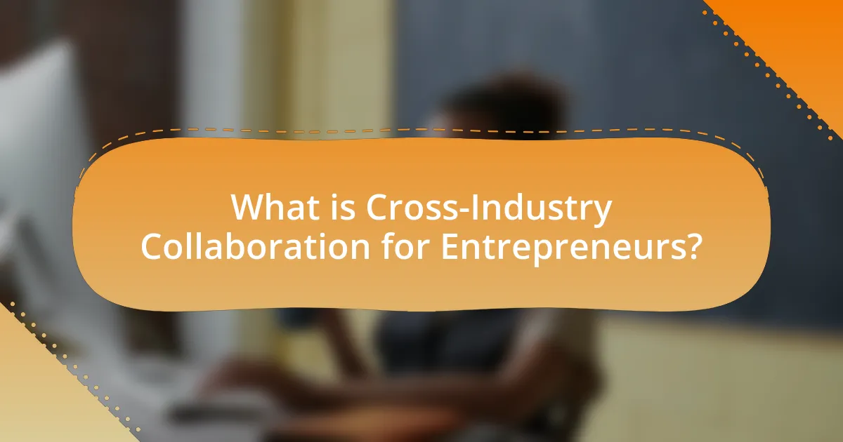 What is Cross-Industry Collaboration for Entrepreneurs?