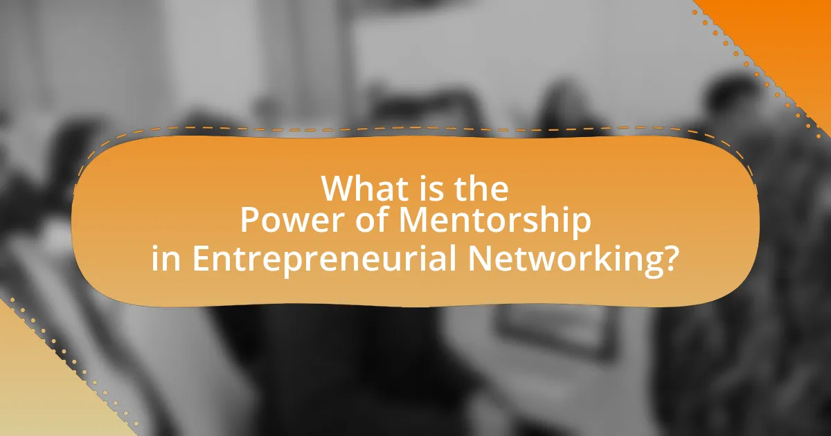 What is the Power of Mentorship in Entrepreneurial Networking?