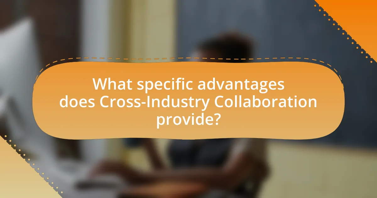 What specific advantages does Cross-Industry Collaboration provide?