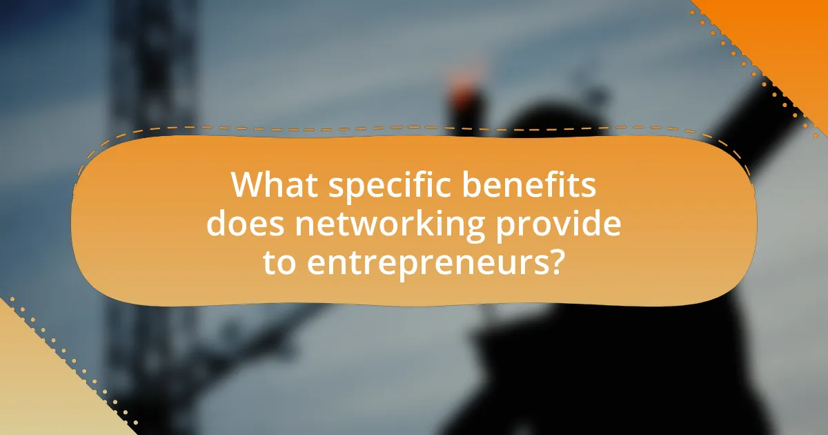 What specific benefits does networking provide to entrepreneurs?
